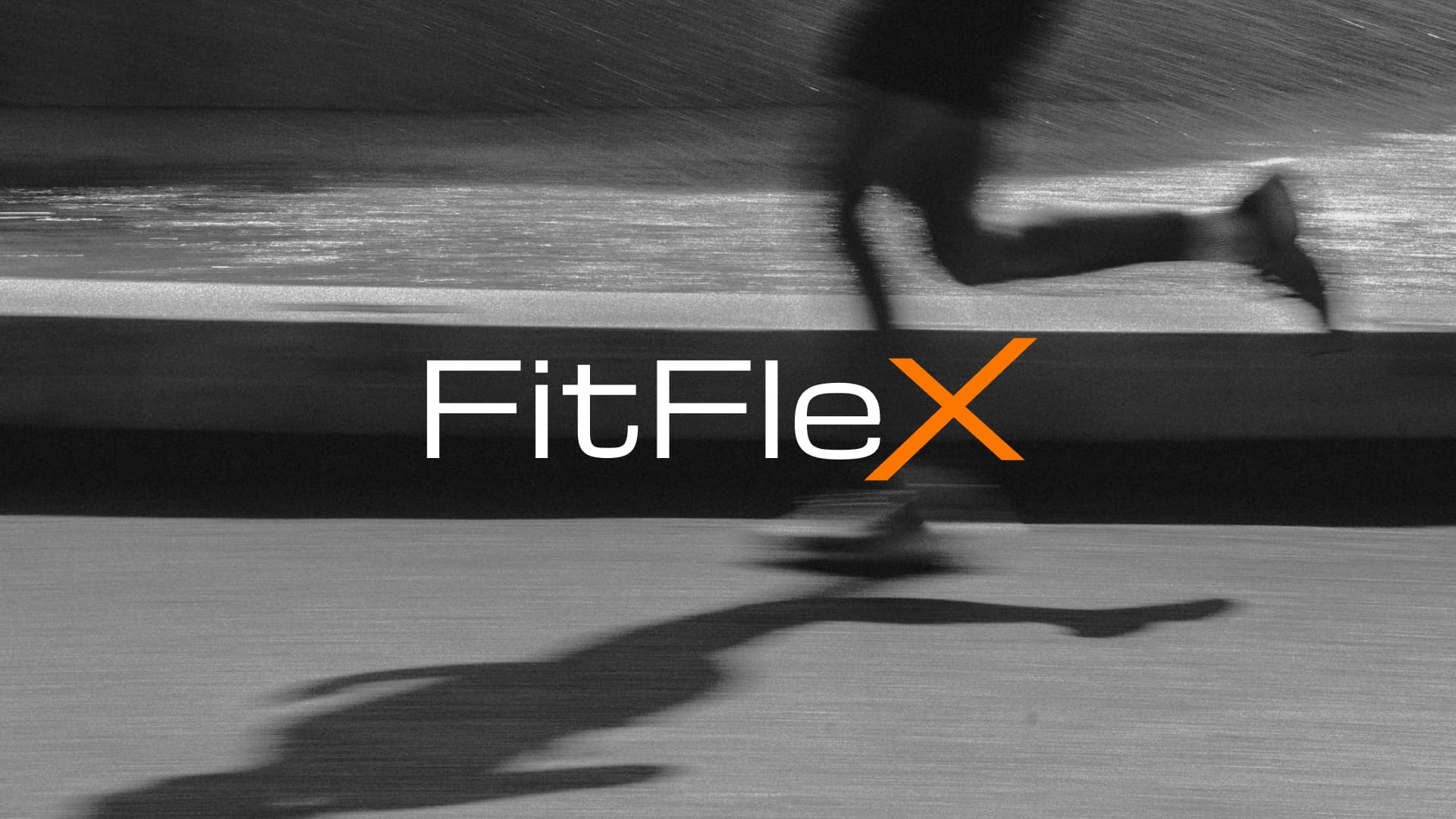 FitFlex